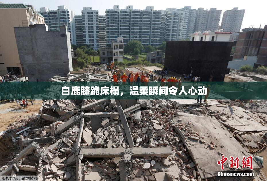 白鹿膝跪床榻，温柔瞬间令人心动
