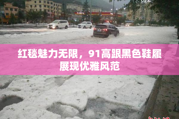 红毯魅力无限，91高跟黑色鞋履展现优雅风范