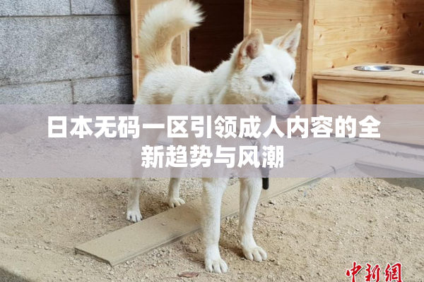 日本无码一区引领成人内容的全新趋势与风潮