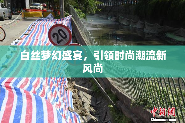 白丝梦幻盛宴，引领时尚潮流新风尚