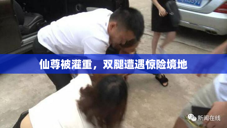 仙尊被灌重，双腿遭遇惊险境地