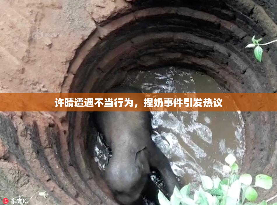 许晴遭遇不当行为，捏奶事件引发热议