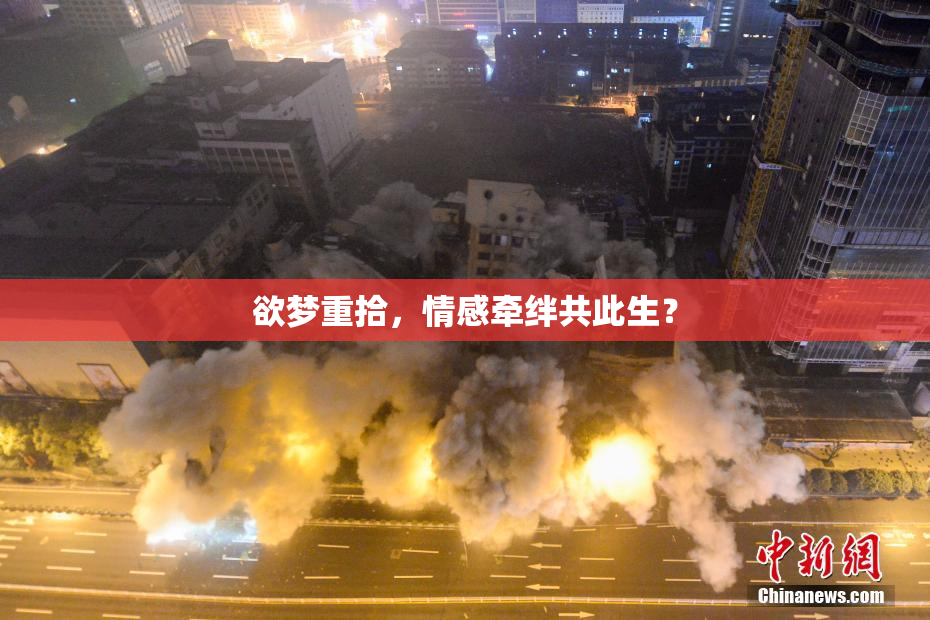 欲梦重拾，情感牵绊共此生？