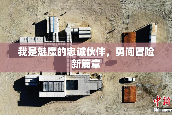 我是魅魔的忠诚伙伴，勇闯冒险新篇章