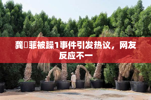 龚玥菲被躁1事件引发热议，网友反应不一