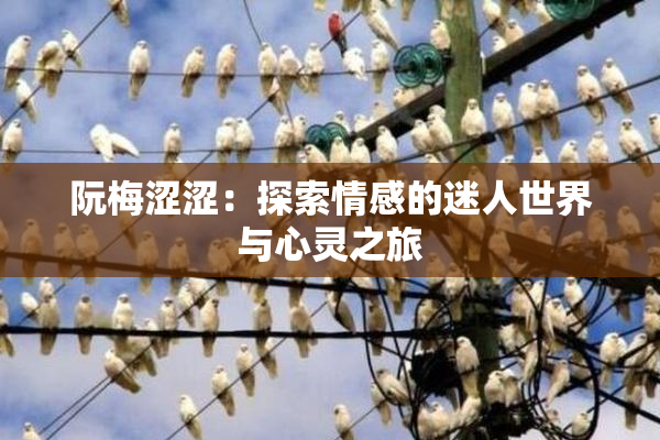阮梅涩涩：探索情感的迷人世界与心灵之旅