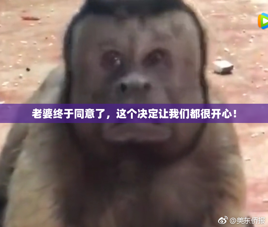 老婆终于同意了，这个决定让我们都很开心！