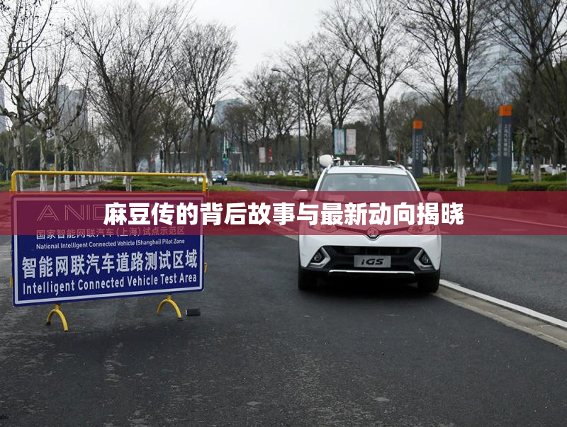 麻豆传的背后故事与最新动向揭晓