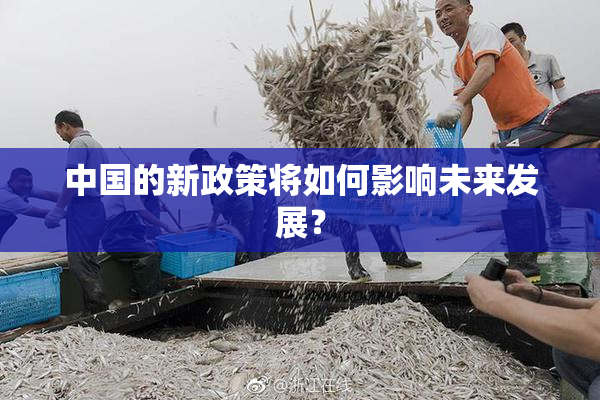 中国的新政策将如何影响未来发展？