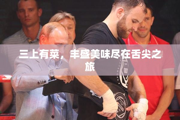 三上有菜，丰盛美味尽在舌尖之旅