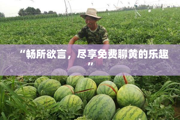 “畅所欲言，尽享免费聊黄的乐趣”