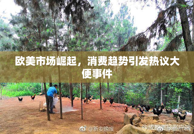 欧美市场崛起，消费趋势引发热议大便事件
