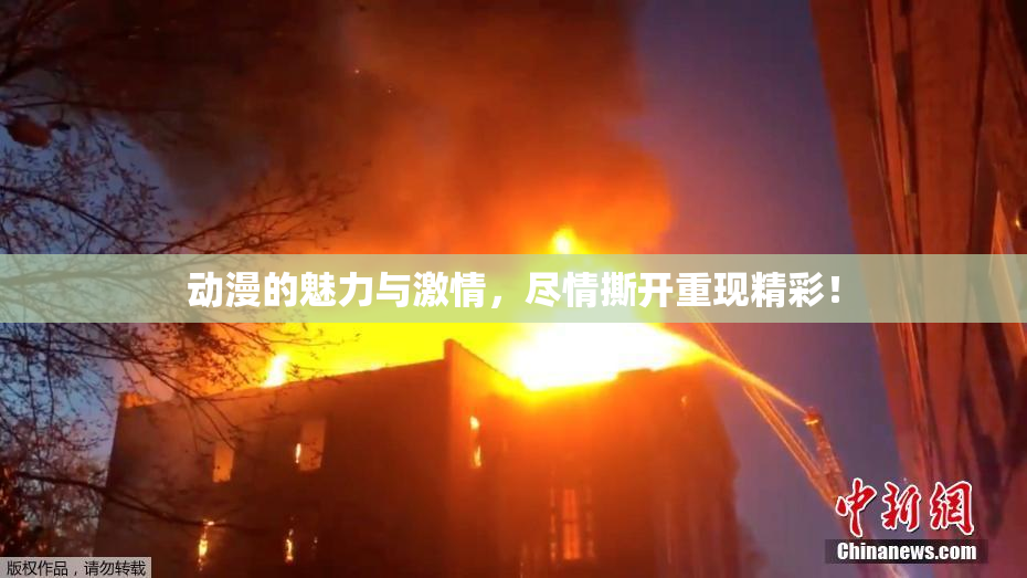 动漫的魅力与激情，尽情撕开重现精彩！