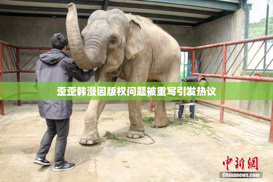 歪歪韩漫因版权问题被重写引发热议