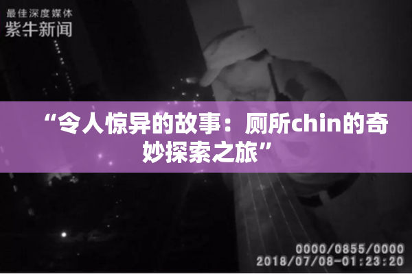 “令人惊异的故事：厕所chin的奇妙探索之旅”