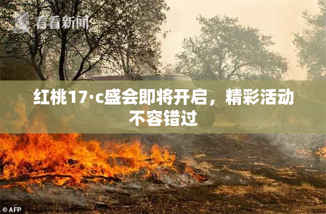 红桃17·c盛会即将开启，精彩活动不容错过