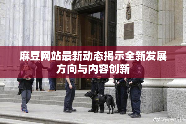 麻豆网站最新动态揭示全新发展方向与内容创新