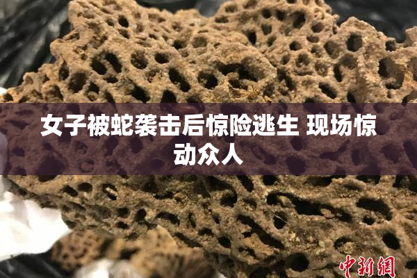 女子被蛇袭击后惊险逃生 现场惊动众人