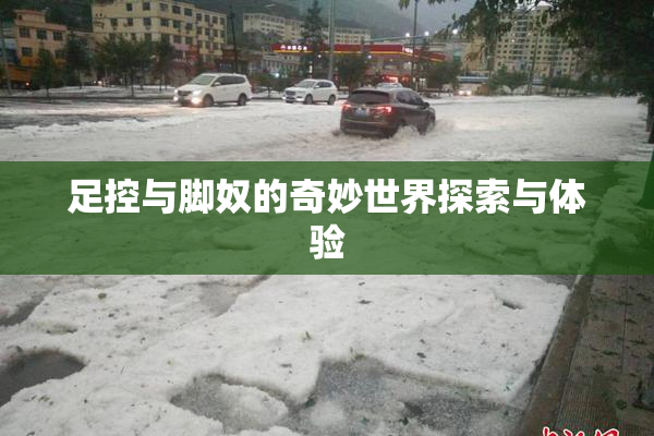 足控与脚奴的奇妙世界探索与体验
