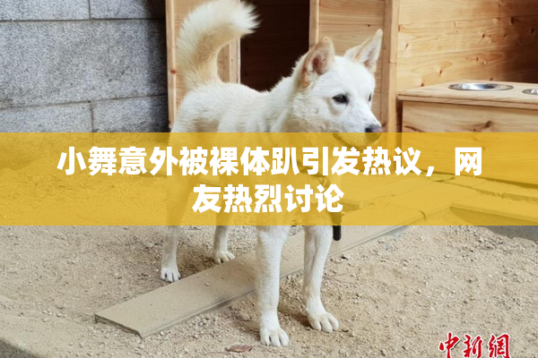 小舞意外被裸体趴引发热议，网友热烈讨论