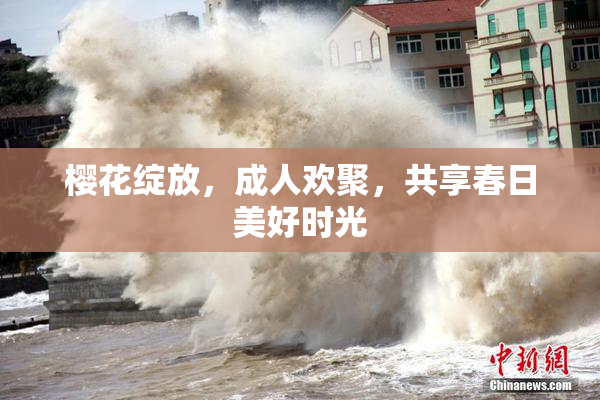 樱花绽放，成人欢聚，共享春日美好时光