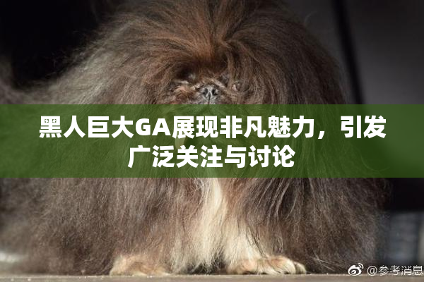 黑人巨大GA展现非凡魅力，引发广泛关注与讨论