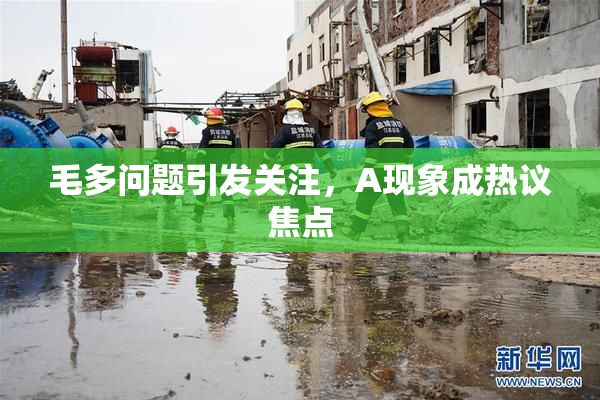 毛多问题引发关注，A现象成热议焦点