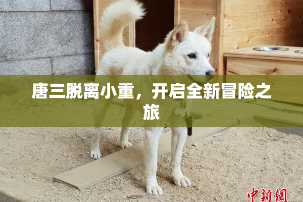 唐三脱离小重，开启全新冒险之旅