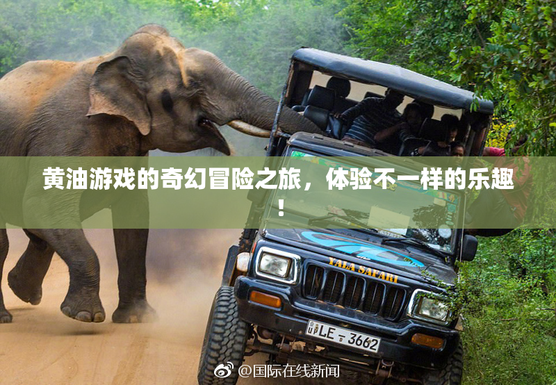 黄油游戏的奇幻冒险之旅，体验不一样的乐趣！