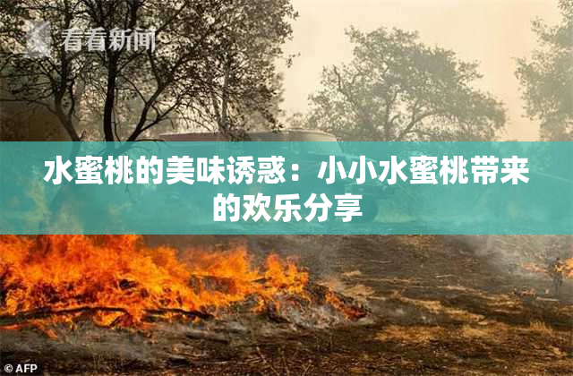 水蜜桃的美味诱惑：小小水蜜桃带来的欢乐分享