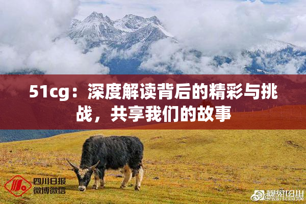 51cg：深度解读背后的精彩与挑战，共享我们的故事