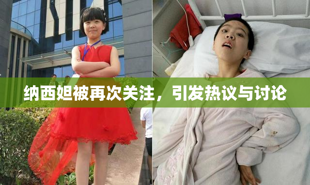 纳西妲被再次关注，引发热议与讨论