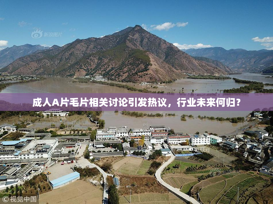 成人A片毛片相关讨论引发热议，行业未来何归？