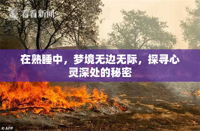 在熟睡中，梦境无边无际，探寻心灵深处的秘密