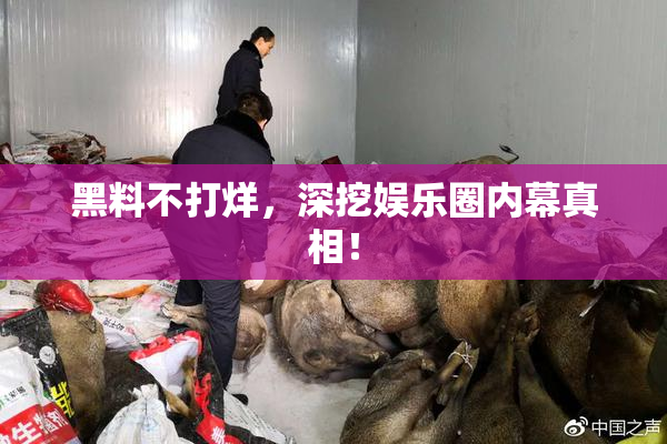 黑料不打烊，深挖娱乐圈内幕真相！