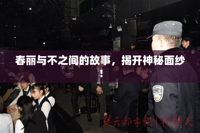 春丽与不之间的故事，揭开神秘面纱！