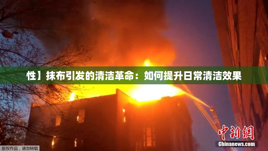 性】抹布引发的清洁革命：如何提升日常清洁效果