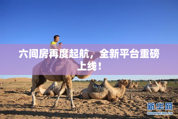 六间房再度起航，全新平台重磅上线！