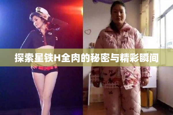 探索星铁H全肉的秘密与精彩瞬间