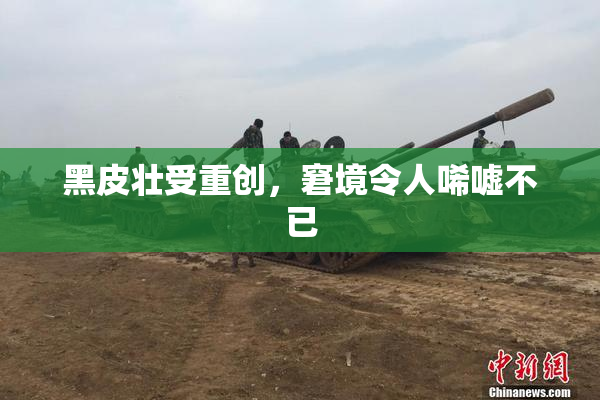 黑皮壮受重创，窘境令人唏嘘不已