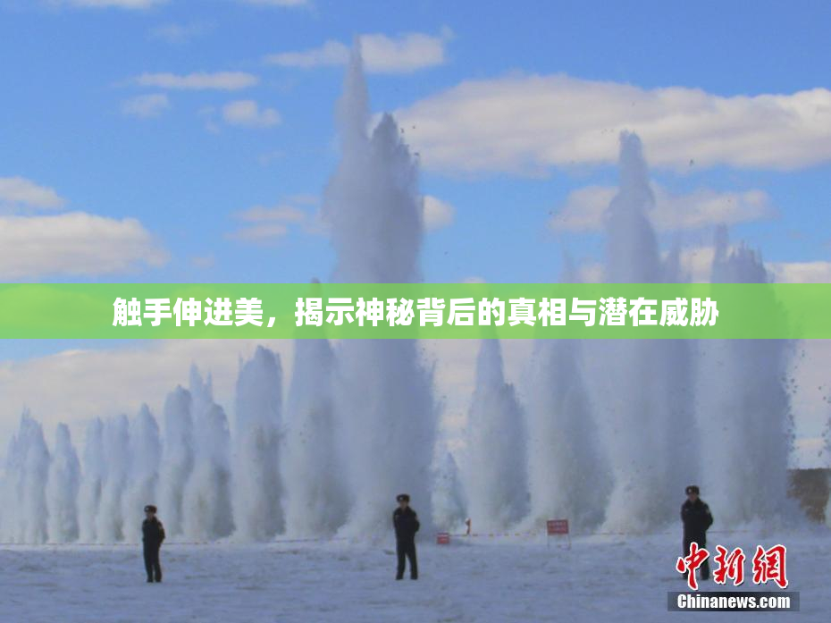 触手伸进美，揭示神秘背后的真相与潜在威胁