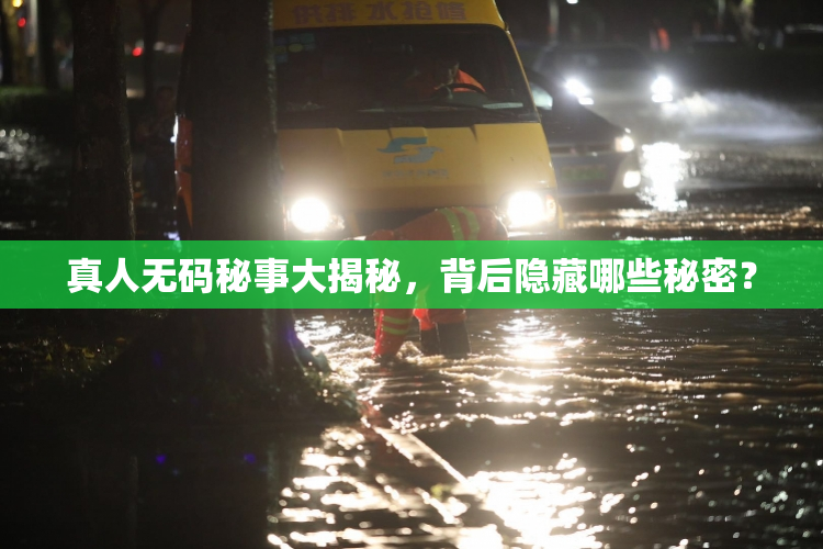 真人无码秘事大揭秘，背后隐藏哪些秘密？
