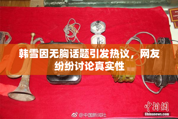 韩雪因无胸话题引发热议，网友纷纷讨论真实性