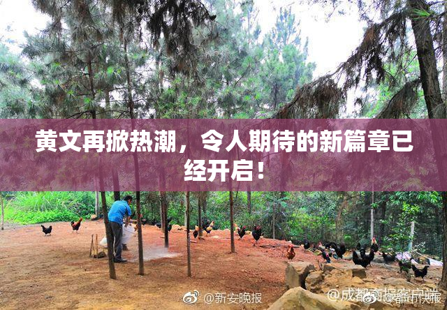 黄文再掀热潮，令人期待的新篇章已经开启！