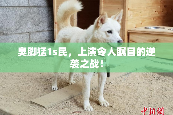 臭脚猛1s民，上演令人瞩目的逆袭之战！