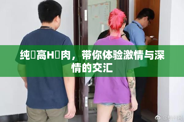 纯愛高H純肉，带你体验激情与深情的交汇