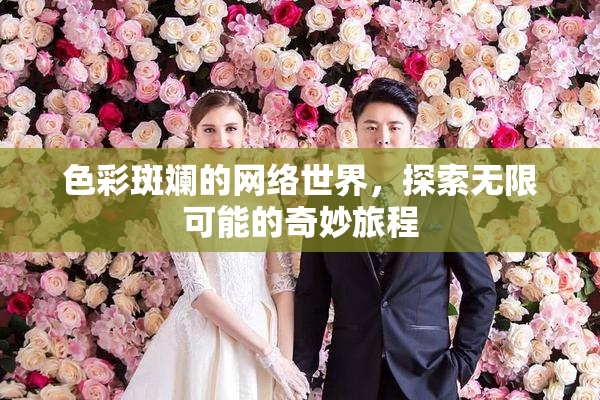 色彩斑斓的网络世界，探索无限可能的奇妙旅程