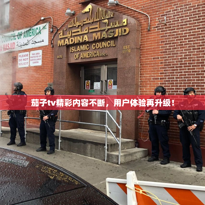 茄子tv精彩内容不断，用户体验再升级！