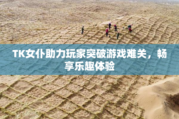 TK女仆助力玩家突破游戏难关，畅享乐趣体验