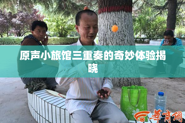 原声小旅馆三重奏的奇妙体验揭晓
